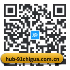 Android 饭圈版 二维码